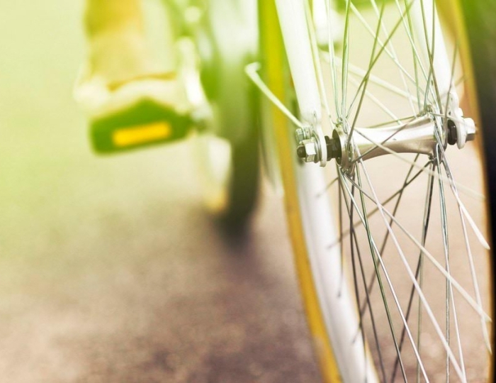 Прокат - Парк-отель «Арфа»